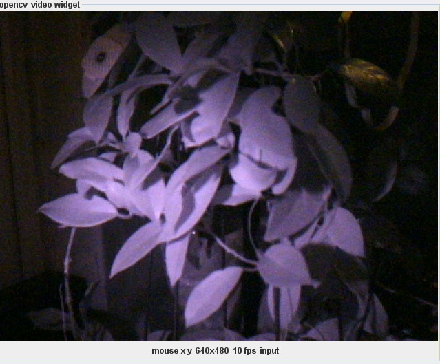 Low-res realtime image of the plant under IR light...